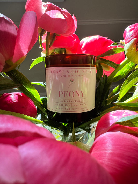 Peony