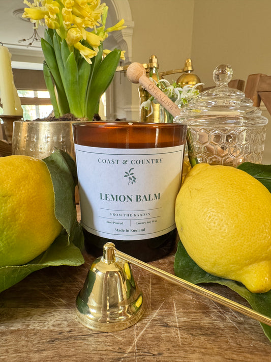 Lemon Balm