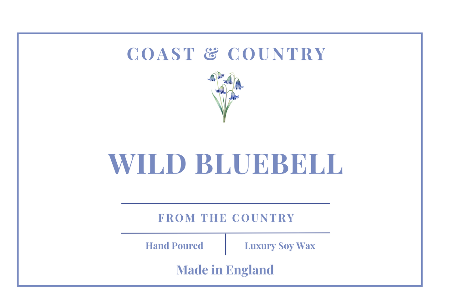 Wild Bluebell